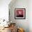 Cabra-Jean-Michel Basquiat-Framed Giclee Print displayed on a wall