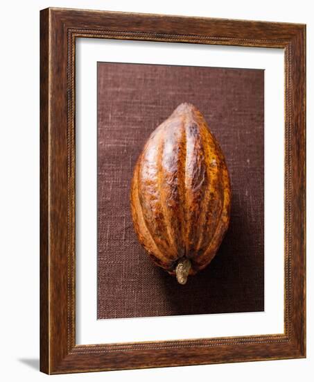 Cacao Pod on Brown Background-null-Framed Photographic Print