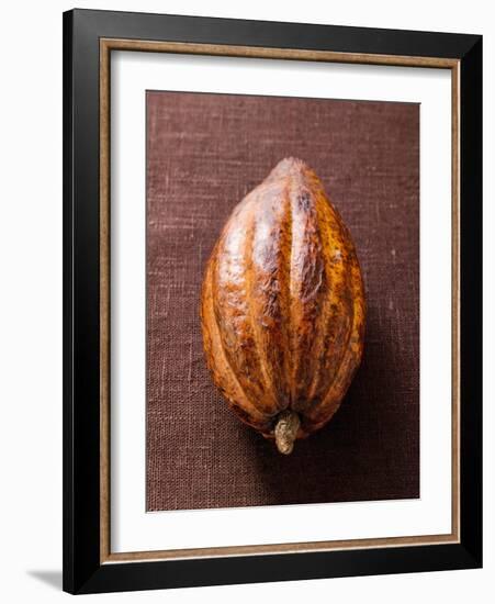 Cacao Pod on Brown Background-null-Framed Photographic Print