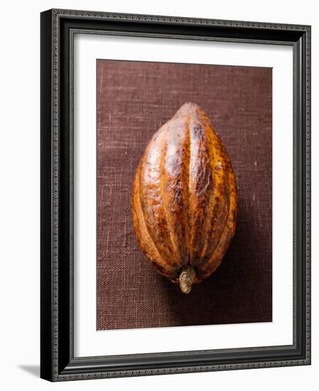 Cacao Pod on Brown Background-null-Framed Photographic Print