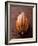 Cacao Pod on Brown Background-null-Framed Photographic Print