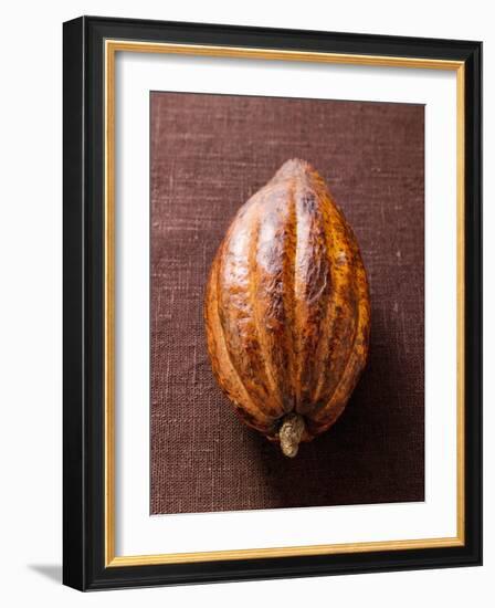 Cacao Pod on Brown Background-null-Framed Photographic Print