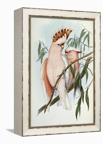 Cacatua Leadbeateri, 1848-1869-John Gould-Framed Premier Image Canvas