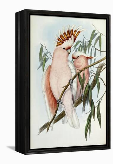 Cacatua Leadbeateri, 1848-1869-John Gould-Framed Premier Image Canvas