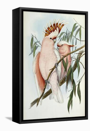 Cacatua Leadbeateri, 1848-1869-John Gould-Framed Premier Image Canvas