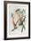 Cacatua Leadbeateri, 1848-1869-John Gould-Framed Giclee Print