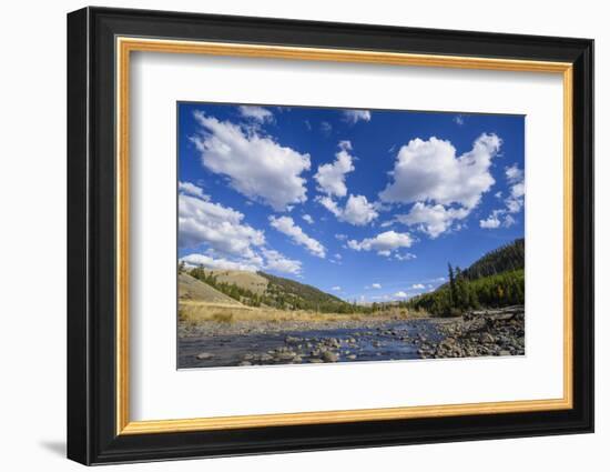 Cache Creek, Yellowstone National Park, Wyoming, United States of America, North America-Gary Cook-Framed Photographic Print