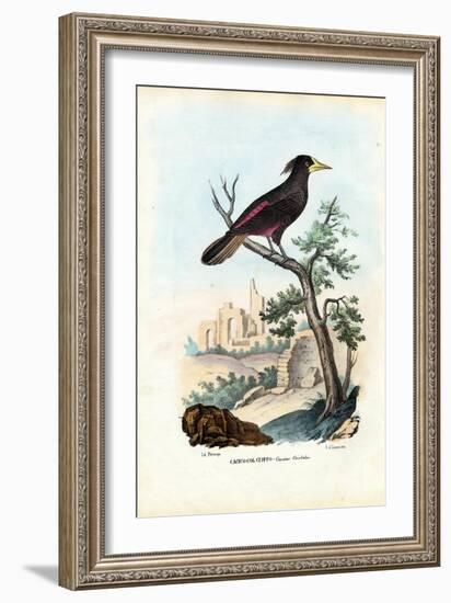 Cacique, 1863-79-Raimundo Petraroja-Framed Giclee Print