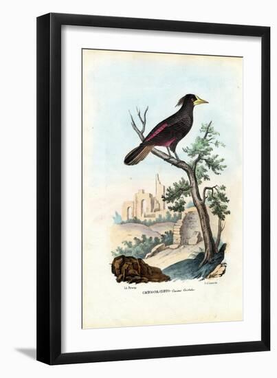 Cacique, 1863-79-Raimundo Petraroja-Framed Giclee Print