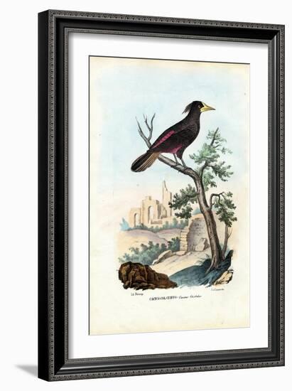 Cacique, 1863-79-Raimundo Petraroja-Framed Giclee Print