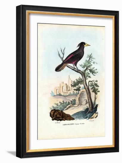 Cacique, 1863-79-Raimundo Petraroja-Framed Giclee Print