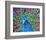 Cacophony Of Color-null-Framed Art Print