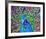 Cacophony Of Color-null-Framed Art Print