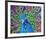 Cacophony Of Color-null-Framed Art Print