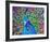 Cacophony Of Color-null-Framed Art Print