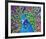 Cacophony Of Color-null-Framed Art Print