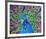 Cacophony Of Color-null-Framed Art Print