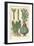 Cacti, 1641-Johann Theodor de Bry-Framed Giclee Print