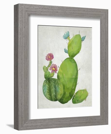 Cacti Collection I-Chariklia Zarris-Framed Art Print