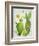 Cacti Collection II-Chariklia Zarris-Framed Art Print