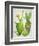 Cacti Collection II-Chariklia Zarris-Framed Art Print