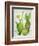 Cacti Collection II-Chariklia Zarris-Framed Art Print