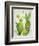 Cacti Collection II-Chariklia Zarris-Framed Art Print