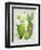 Cacti Collection II-Chariklia Zarris-Framed Art Print