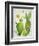 Cacti Collection II-Chariklia Zarris-Framed Art Print