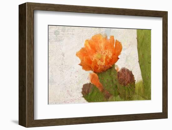 Cacti Flower-Kimberly Allen-Framed Photographic Print