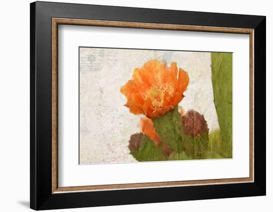 Cacti Flower-Kimberly Allen-Framed Photographic Print