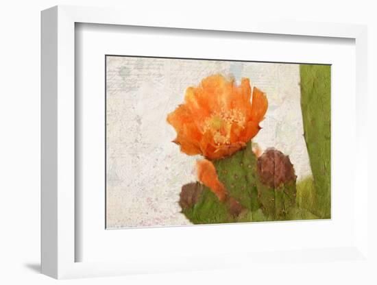 Cacti Flower-Kimberly Allen-Framed Photographic Print