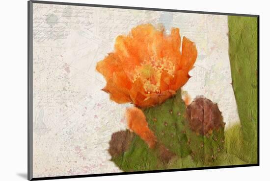 Cacti Flower-Kimberly Allen-Mounted Photographic Print