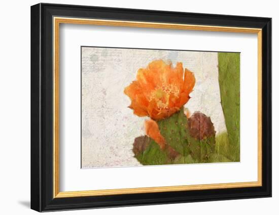 Cacti Flower-Kimberly Allen-Framed Photographic Print