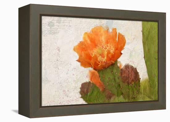 Cacti Flower-Kimberly Allen-Framed Premier Image Canvas