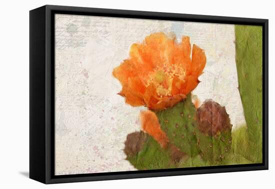 Cacti Flower-Kimberly Allen-Framed Premier Image Canvas