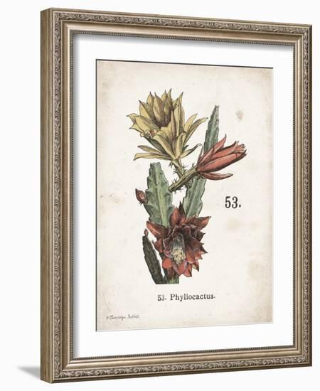 Cacti I-Gwendolyn Babbitt-Framed Art Print