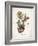 Cacti I-Gwendolyn Babbitt-Framed Art Print