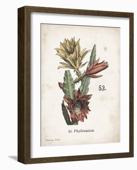 Cacti I-Gwendolyn Babbitt-Framed Art Print