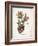 Cacti I-Gwendolyn Babbitt-Framed Art Print