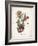 Cacti I-Gwendolyn Babbitt-Framed Art Print