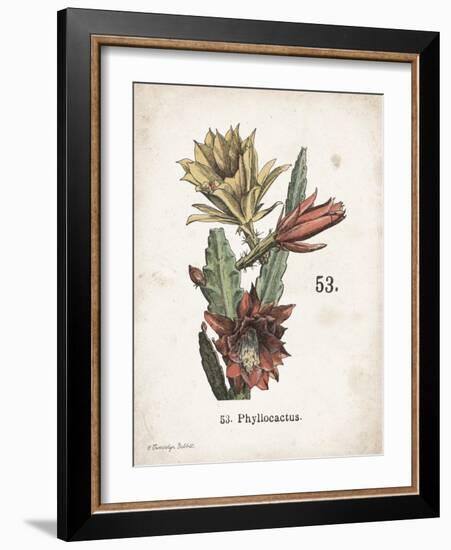 Cacti I-Gwendolyn Babbitt-Framed Art Print