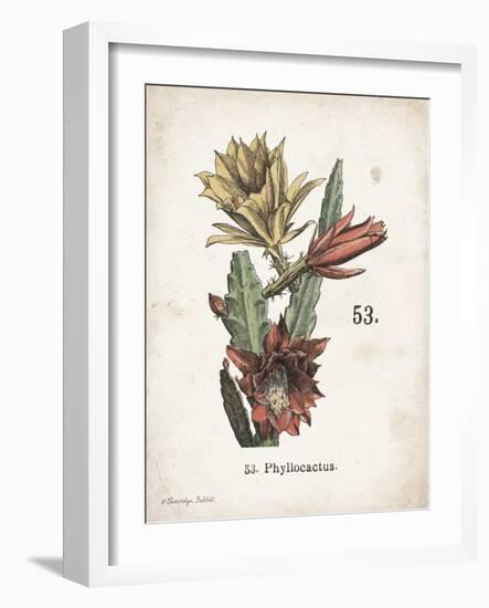 Cacti I-Gwendolyn Babbitt-Framed Art Print