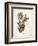 Cacti I-Gwendolyn Babbitt-Framed Art Print