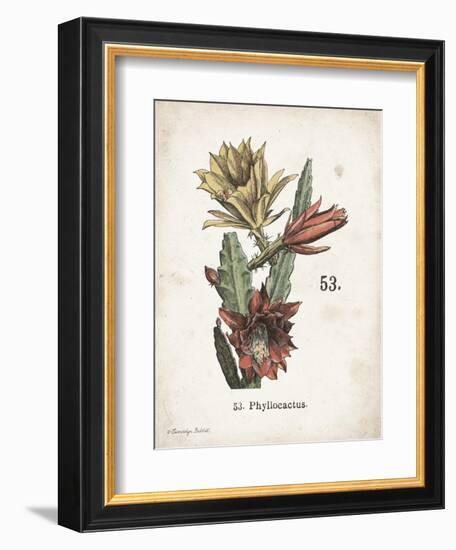 Cacti I-Gwendolyn Babbitt-Framed Art Print