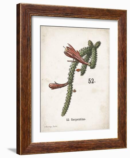 Cacti III-Gwendolyn Babbitt-Framed Art Print