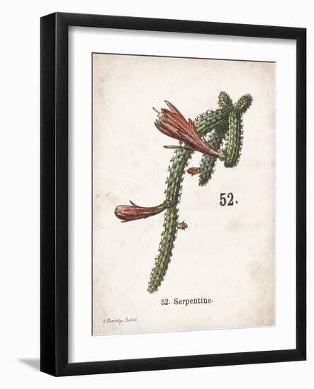 Cacti III-Gwendolyn Babbitt-Framed Art Print