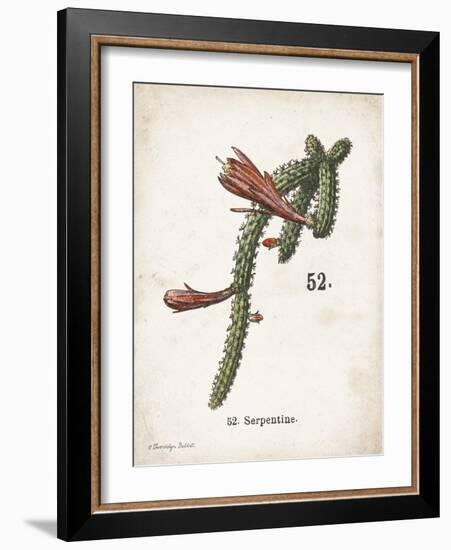 Cacti III-Gwendolyn Babbitt-Framed Art Print