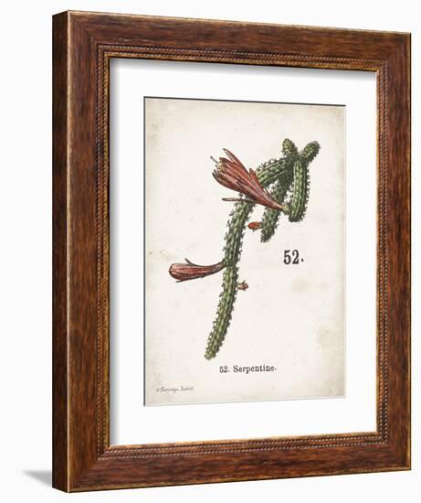 Cacti III-Gwendolyn Babbitt-Framed Art Print