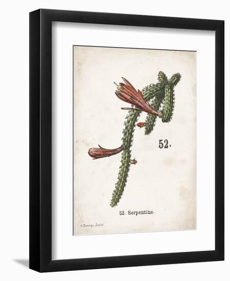 Cacti III-Gwendolyn Babbitt-Framed Art Print